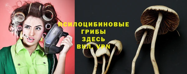 кокаин колумбия Алзамай