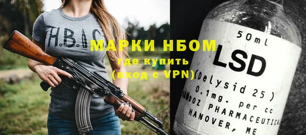 гашик Няндома