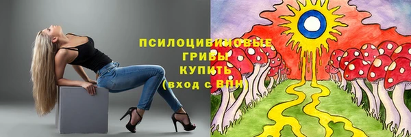 метамфетамин Алексин