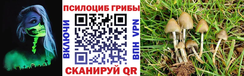 гидра зеркало  Печоры  Галлюциногенные грибы мухоморы  где продают наркотики 